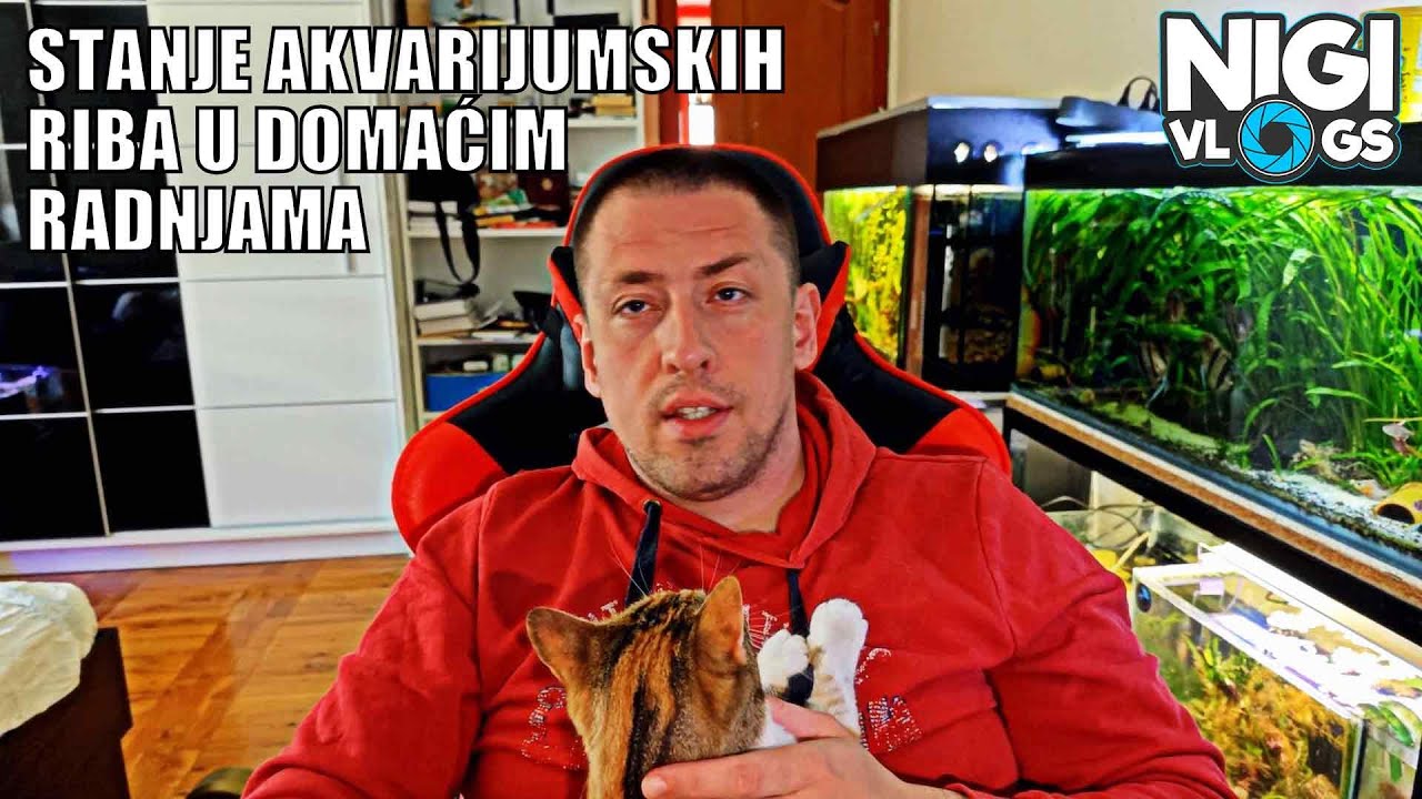 Stanje Akvaristike i Ribica u Radnjama u Srbiji 🐠 | Diskusija i Lično Mišljenje #akvaristika