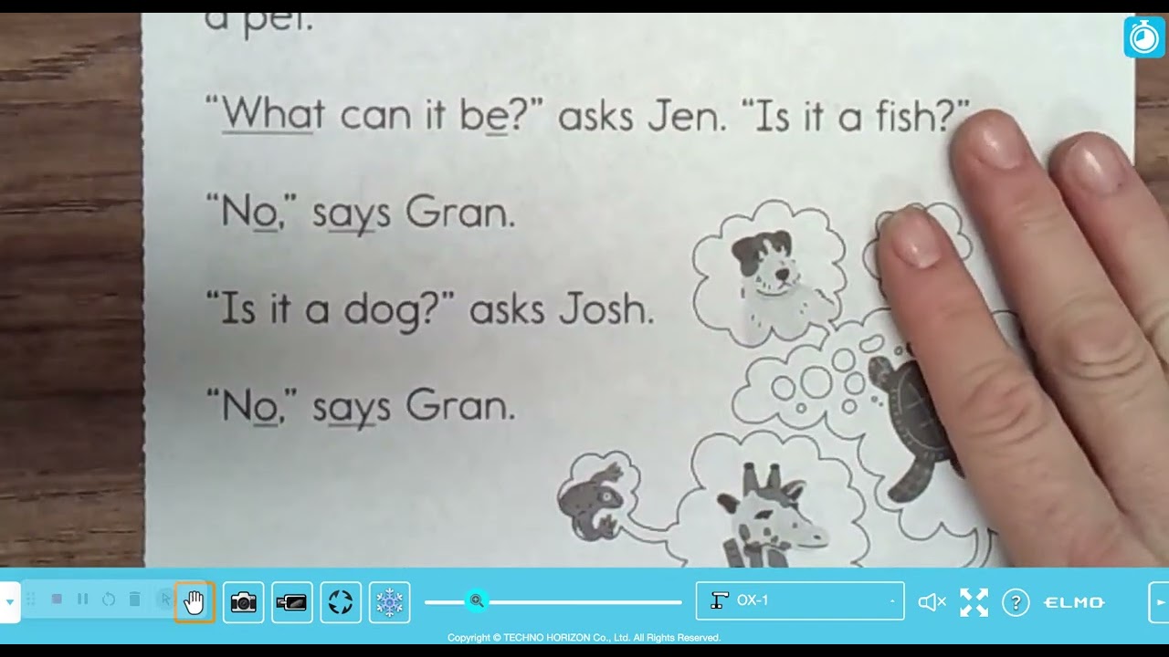 The Pet: Unit 2 Activity Book p 15-6