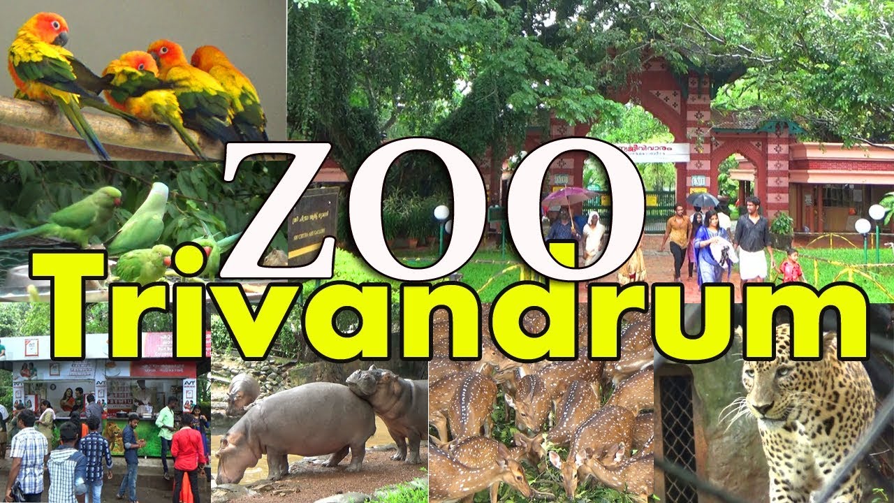 Trivendrum Zoo - Zoological Park - Tiruvananthapuram Kerala