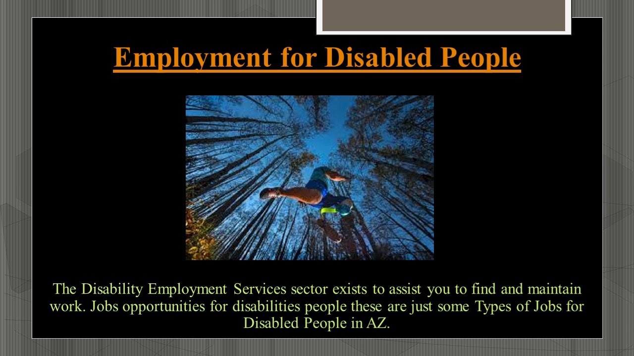 Careers for Handicapped