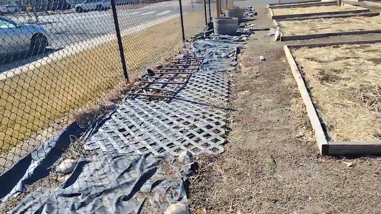 BEFORE 01-March-2024 South fence project