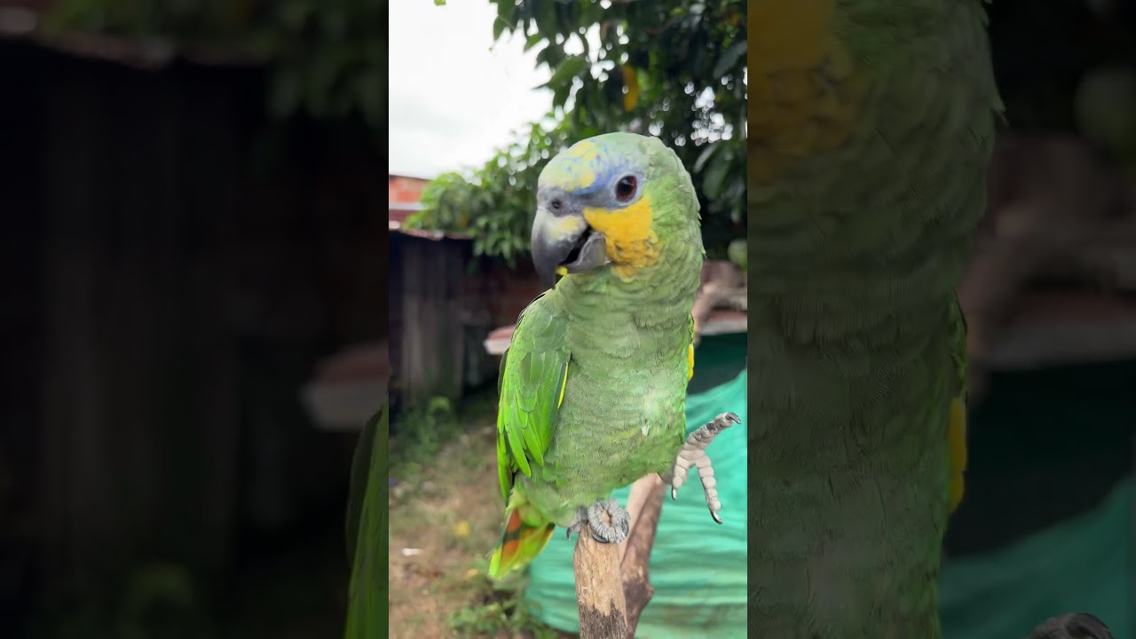 Tan linda❤️