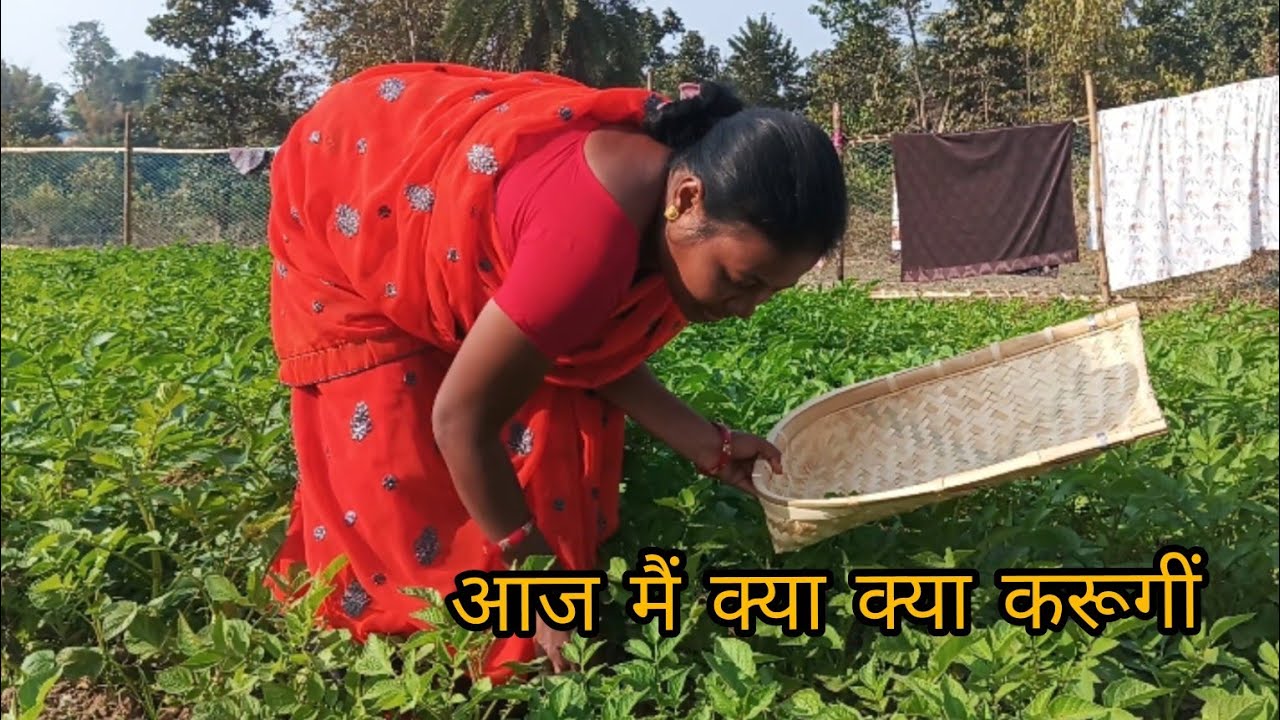एक नई शुरुआत / मेरी पहली व्लॉग 