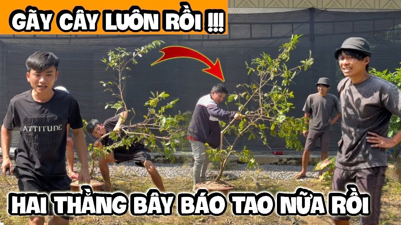 2 cha tài lanh tài lẹt báo Lương Ngố khóc hết nước mắt ￼