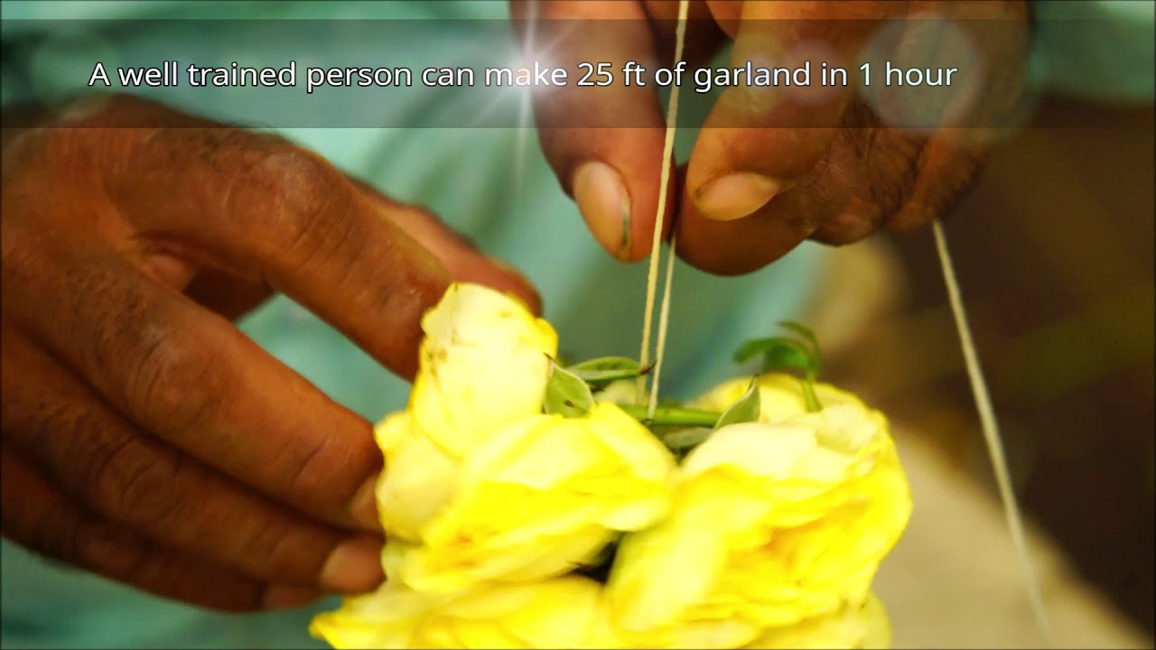 Semi-Automatic Flower Garland Making Machine demonstration