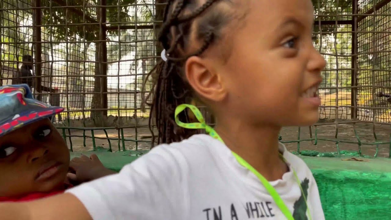 Nourrissage et nettoyage du 29 mai 2021 au Jardin Zoologique de Kinshasa