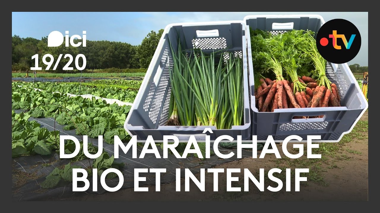 Maraîchage bio-intensif : La ferme-école Cultive révolutionne l’agriculture de demain