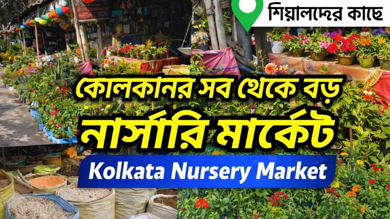 Kolkata Nursery Market | শিয়ালদহ স্টেশনের কাছে বিশাল নার্সারি মার্কেট | Plants Market Kolkata