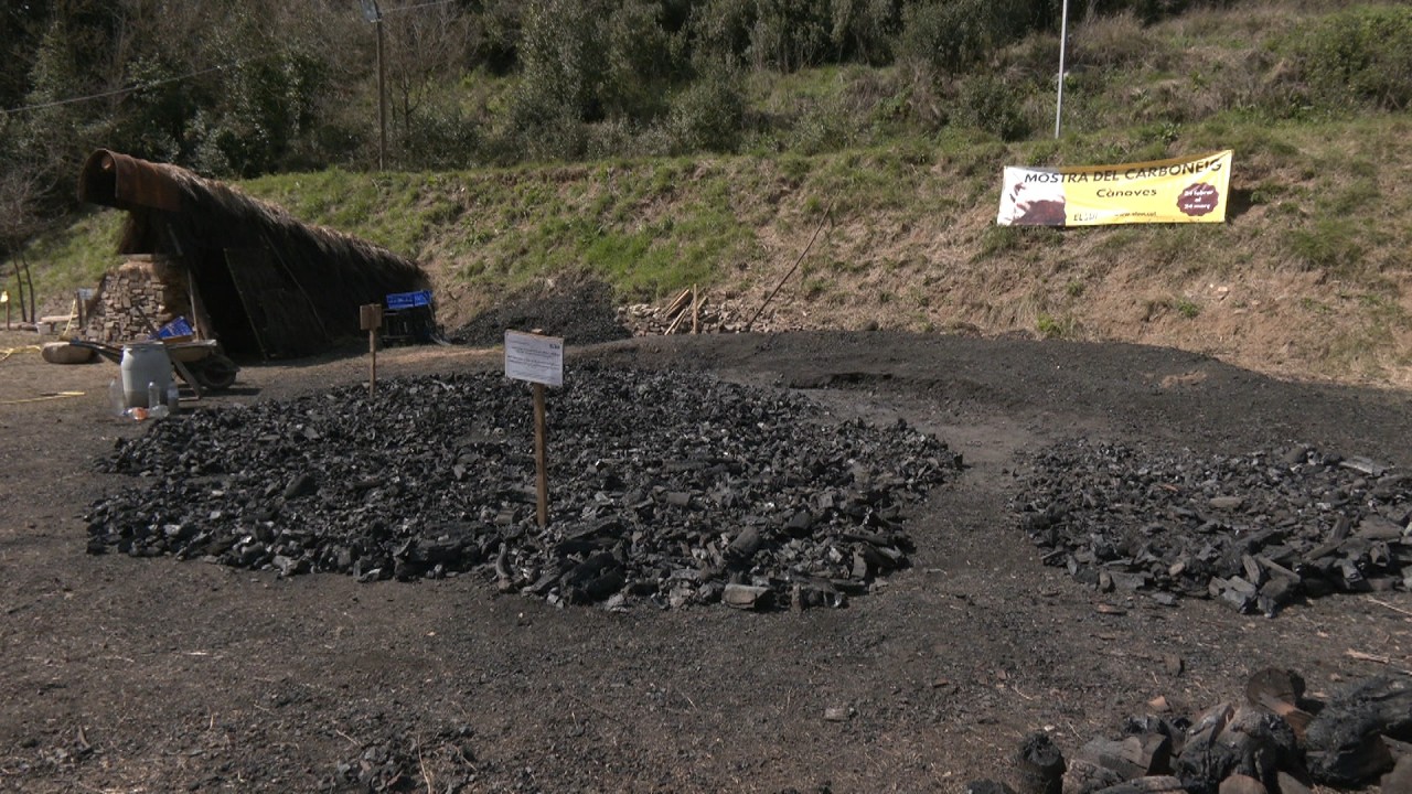 VOTV - Els voluntaris comencen a recollir el carbó de la pila de 30 tones de la Carbonera