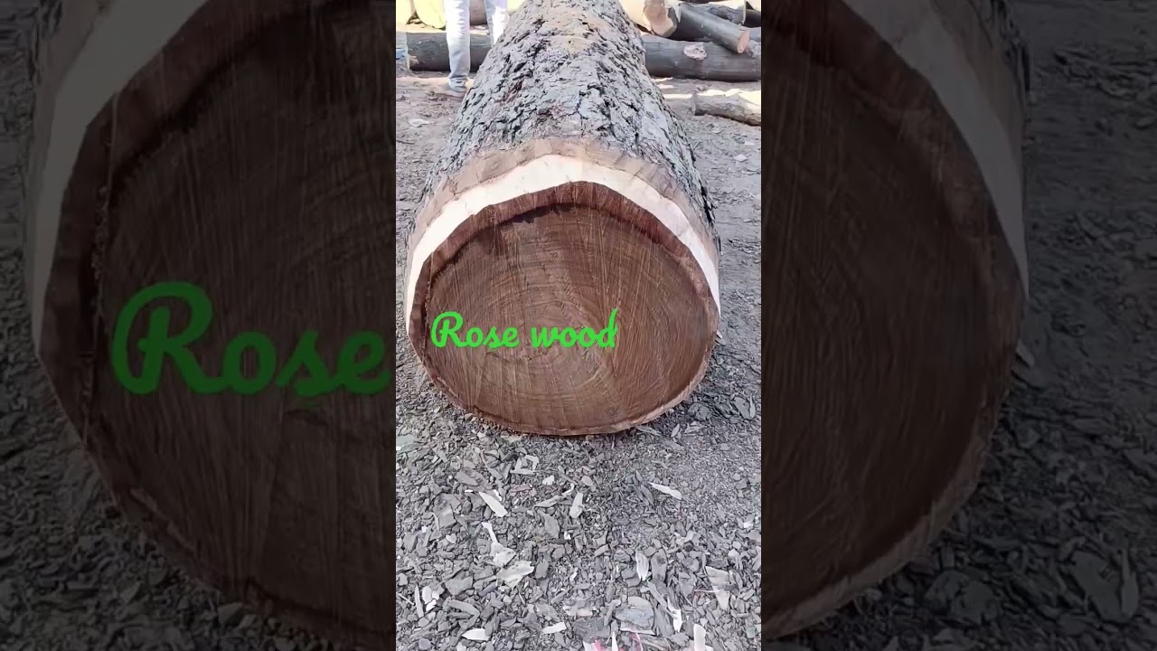 sheesham logs..dark colour