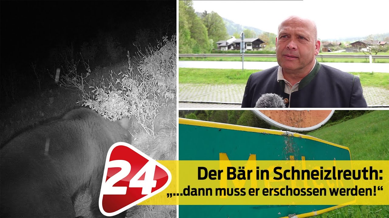 Der Bär in Schneizlreuth: Bürgermeister Simon spricht Klartext