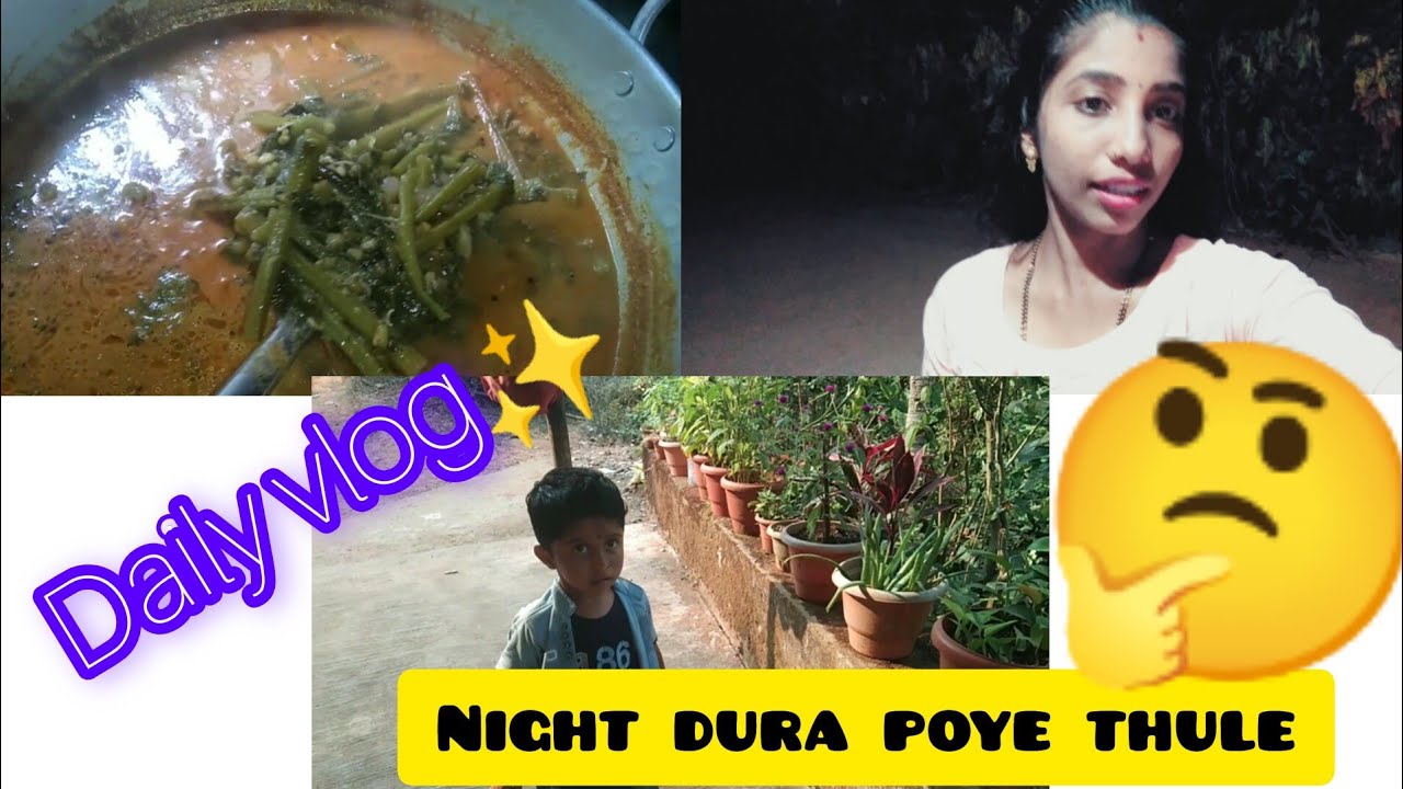 Night dura poye 🤔// kashvi gulabi gidak  dada mayithe thule 😲 #tulunad #tuluvlogs 