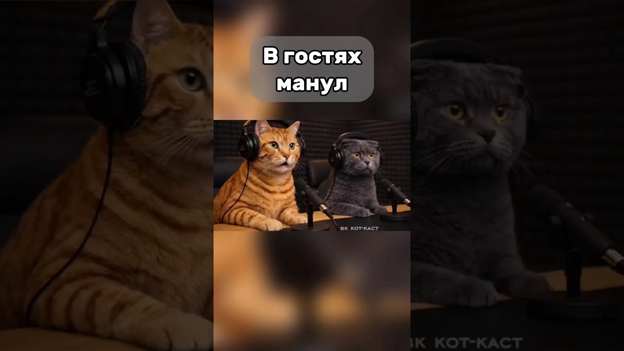 Манул рассказал котам правду о людях 😹 #коты #манул #котюмор #смешныекоты #животны #юмор #shorts