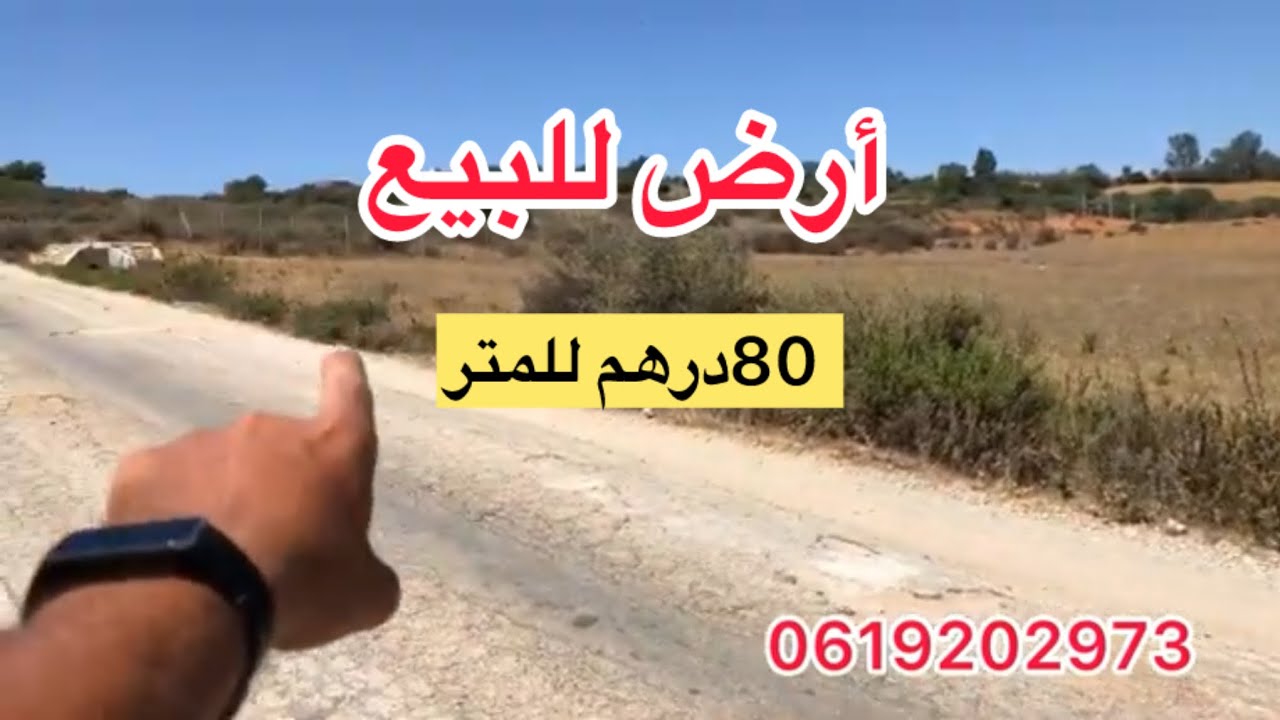 أرض.للبيع ✅دغالين أصيلة 80درهم للمتر. #عقارات #أرض #منازل #دار #شقق #المغرب