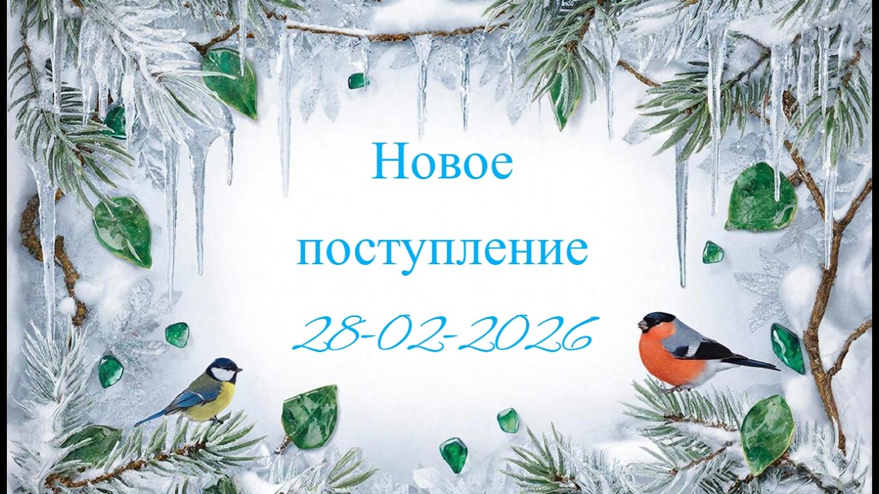 Новое поступление 28-02-2026