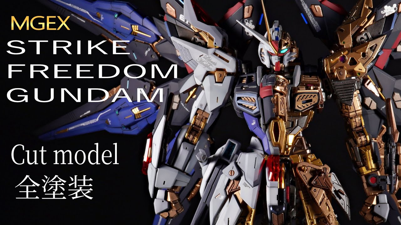 ｶｯﾄﾓﾃﾞﾙ MGEXｽﾄﾗｲｸﾌﾘｰﾀﾞﾑｶﾞﾝﾀﾞﾑ｡Cut model of MGEX STRIKE FREEDOM GUNDAM.