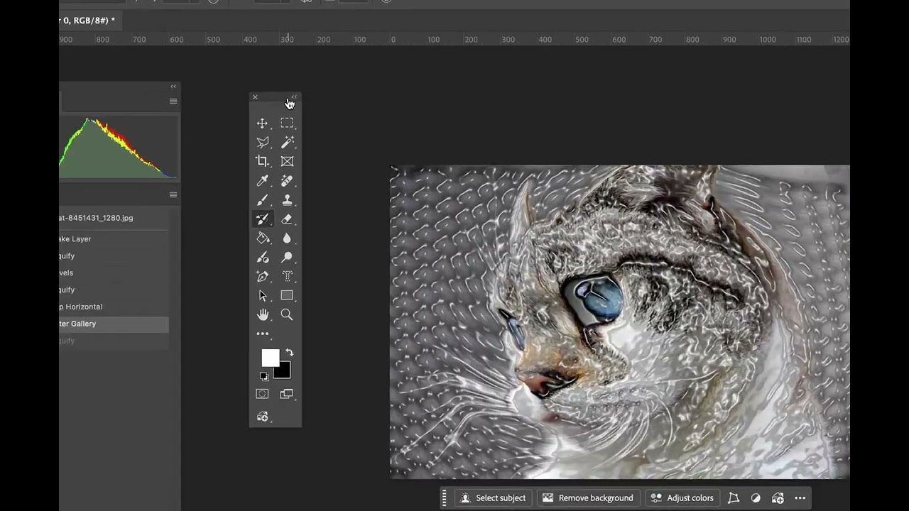 How to use the History Brush tool with Filters and more!