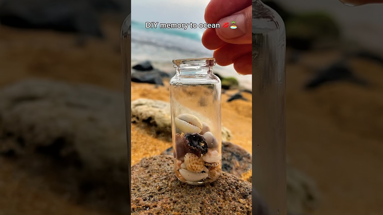 🥹😍 DIY Shell Jar 🐚🫧 Collecting Seashells 🐬 Summer Beach Date Idea 🏝️ #diy #summer #shell