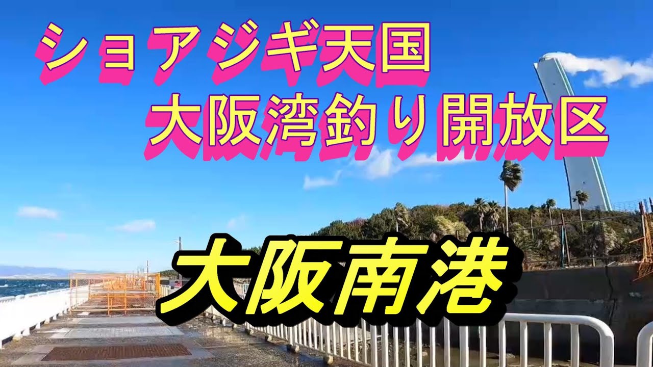 青物爆釣中！　大阪湾　南港の釣場紹介