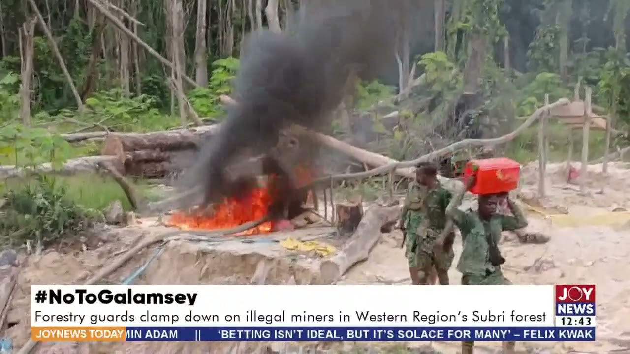 #NoToGalamsey: Forestry guards clamp down on illegal miners in Western Region's Subri Forest
