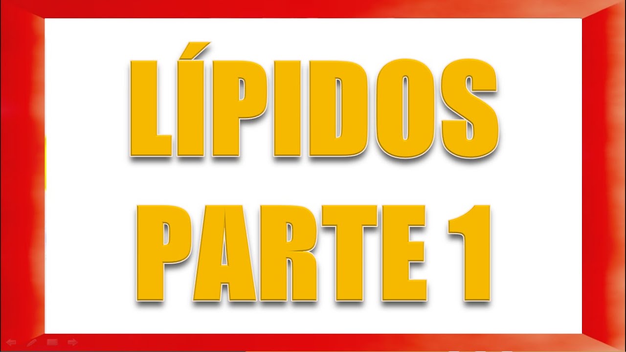 LÍPIDOS PARTE 1:  ÁCIDOS GRASOS 1