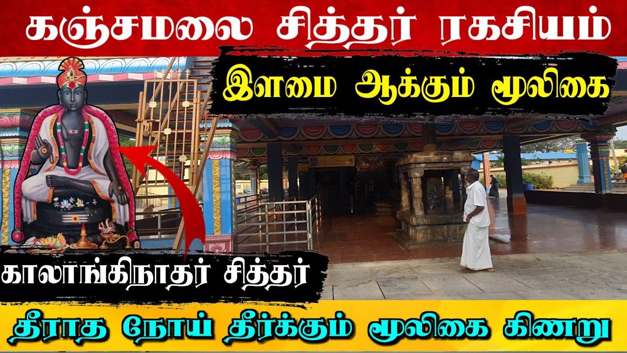 இளமை ஆக்கும் மூலிகை📿சாகா வரம் கொடுக்கும்😱கஞ்சமலை சித்தர் ரகசியம்😱கஞ்சமலை சித்தர் கோவில்👑 Kanjamalai