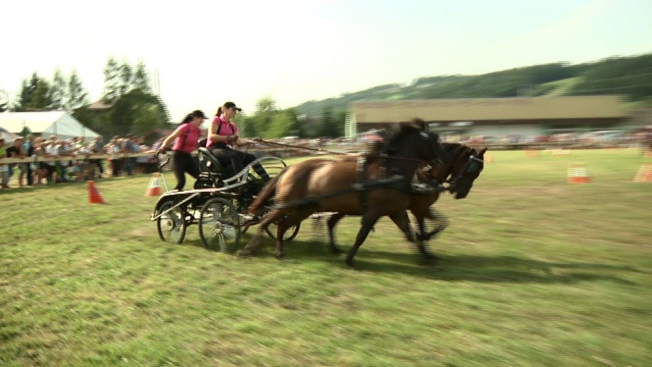 VI Konkurs Powożenia Zaprzęgami Parokonnymi - Ujanowice 2014
