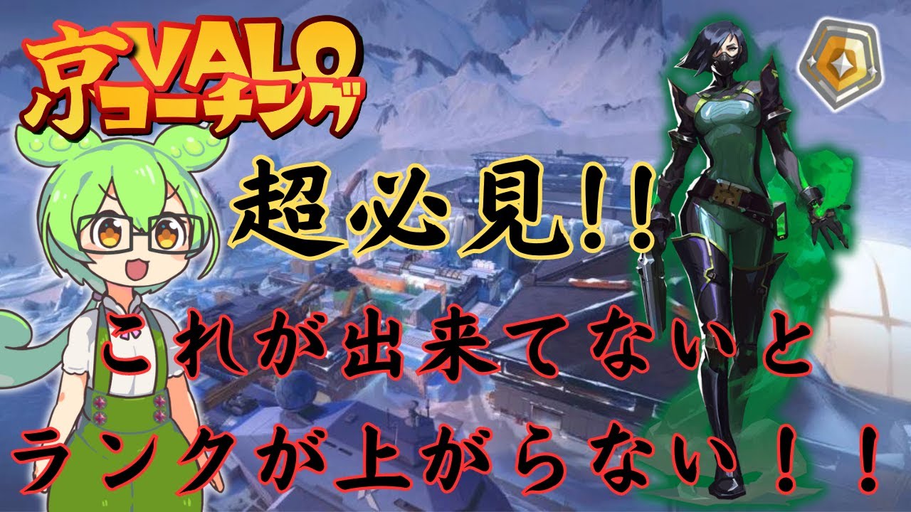 【甘辛コーチング】アイボヴァイパー～勝利に必要な立ち回り～