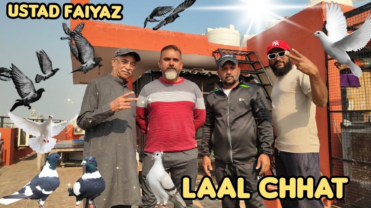 Laal chhat Ustad faiyaz sahab 270 Hyderabadi jungle kabutar video jarur dekhe last tak 2 shikaar 