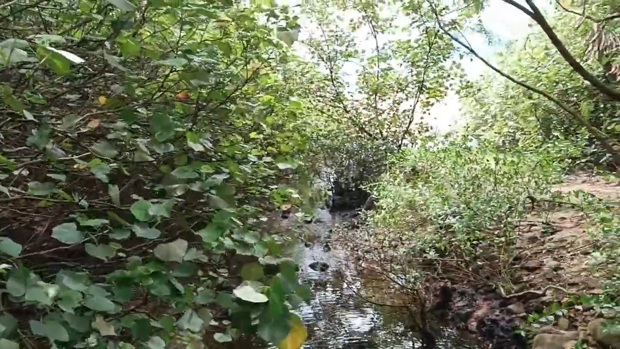 EXPLORE WU KAI SHA HONG KONG NATURE AND BEACH !!!