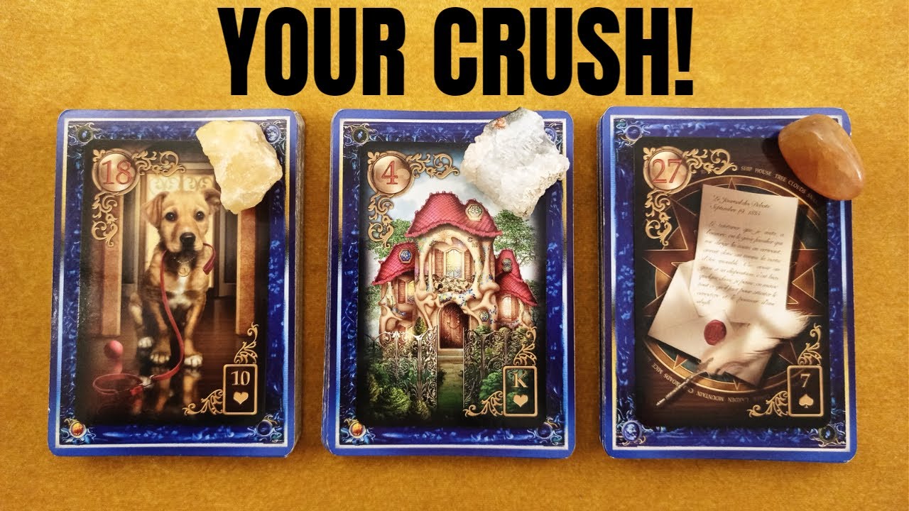 YOUR CRUSH! 💫FEELINGS AND NEXT MOVE! ✨INITIALS💫  PICK A CARD TIMELESS TAROT READING