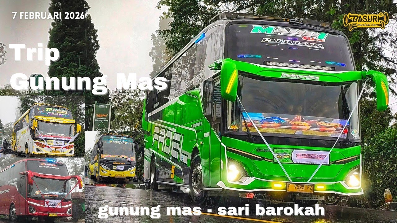 Trip Gunung Mas 7 Februari 2026 || Hunting Bus Basuri Di Gunung Mas - Sari Barokah