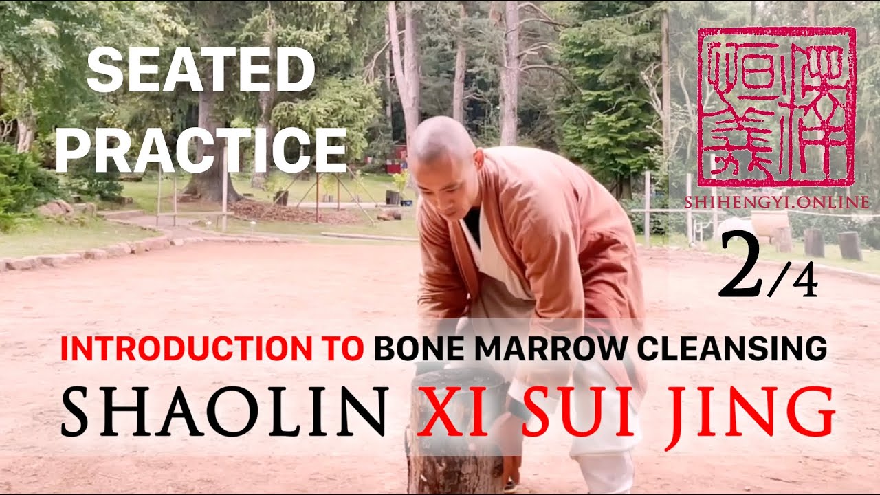 Introduction to Xi Sui Jing (2/4) 💮 Seated Practice 💮