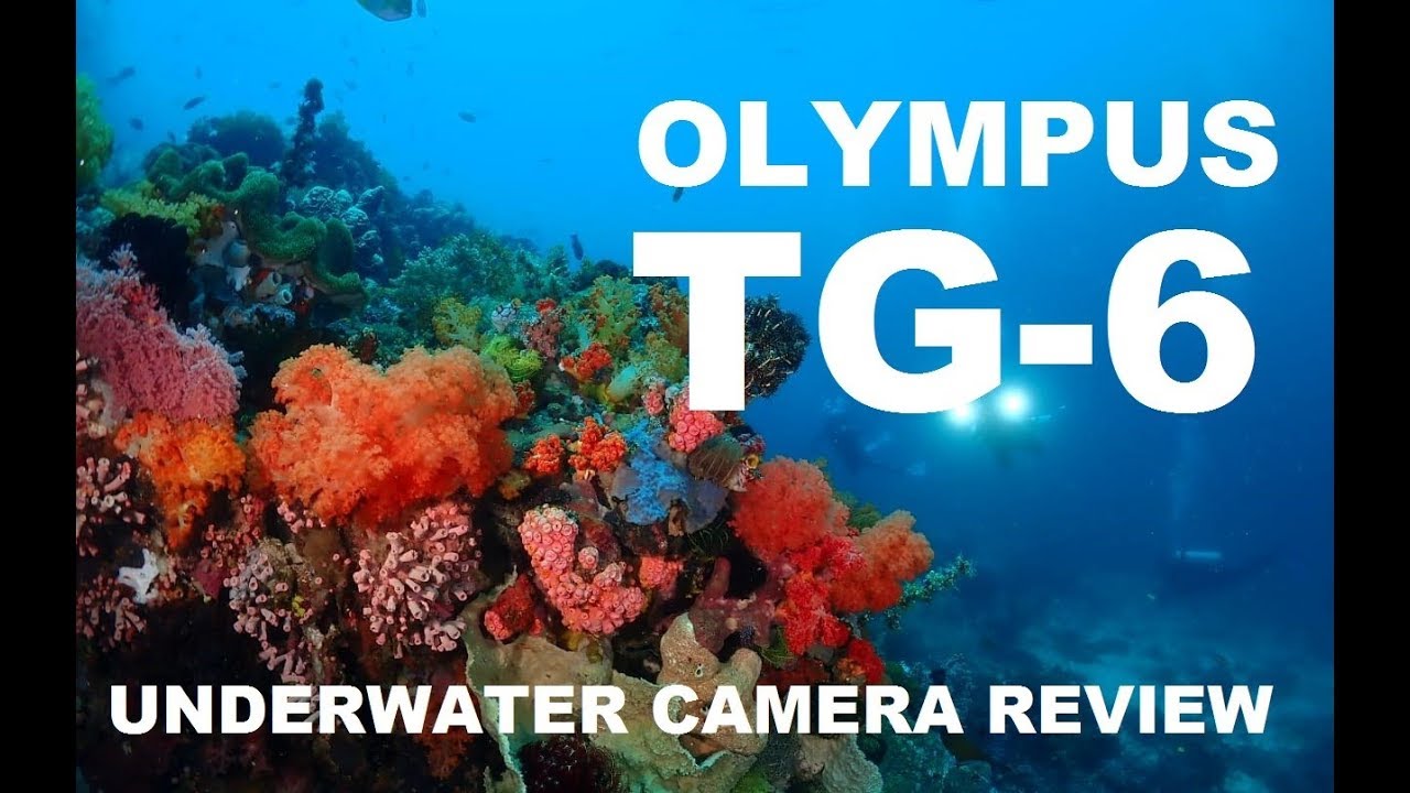 Olympus TG 6 Underwater Camera Review - Indonesia 2019