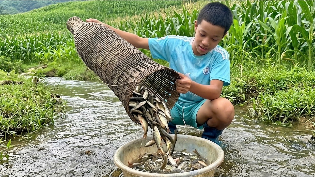 Traditional fishing trapping skills - Jota sets traps to block the stream and catch fish | Jota life