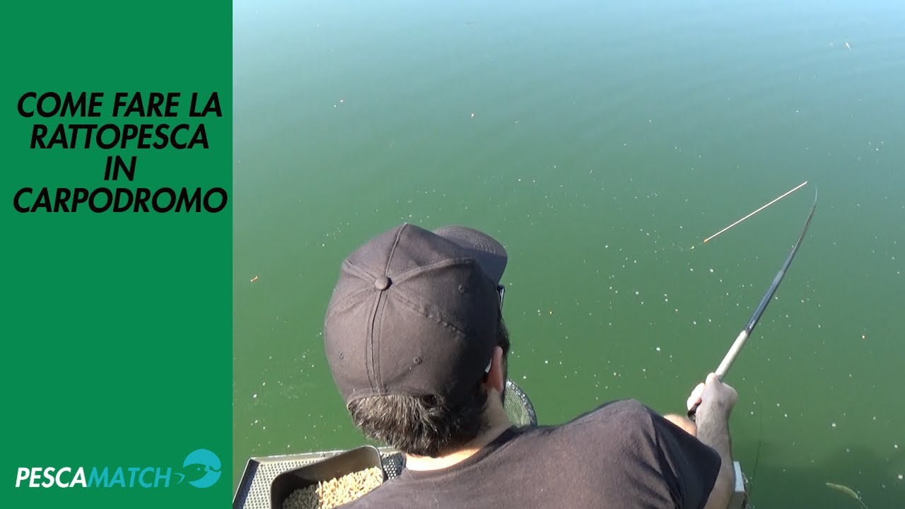Come fare la RATTOPESCA in Carpodromo