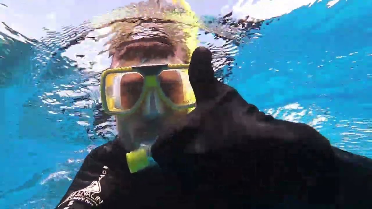 Great Barrier Reef & Hartley's Crocodile tour 2025