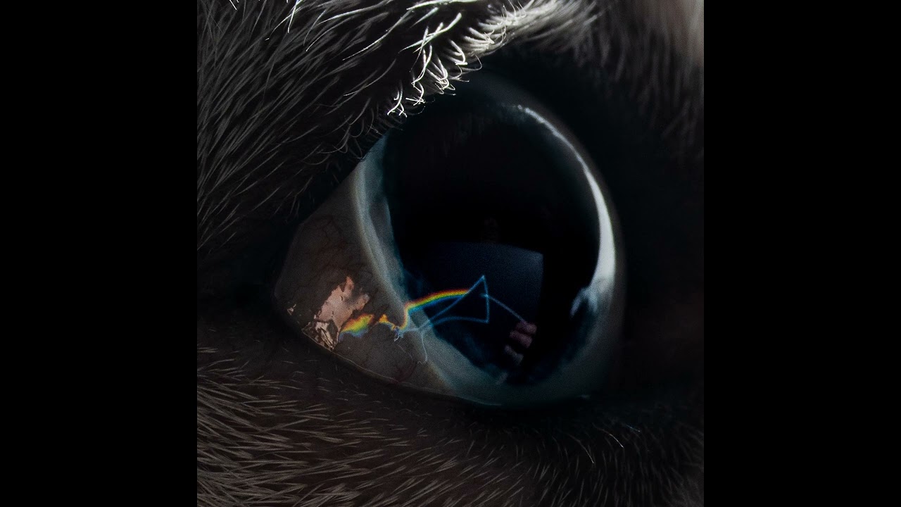 Roger Waters - Time (DSOTM REDUX)