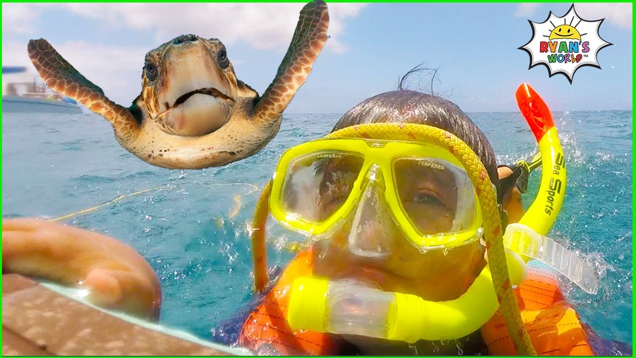 Ryan's Snorkeling in the Ocean with Turtles!