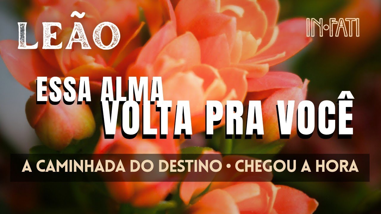 🔎 LEÃO | ESSA ALMA VOLTA PRA VOCÊ • CAMINHADA DA ALMA