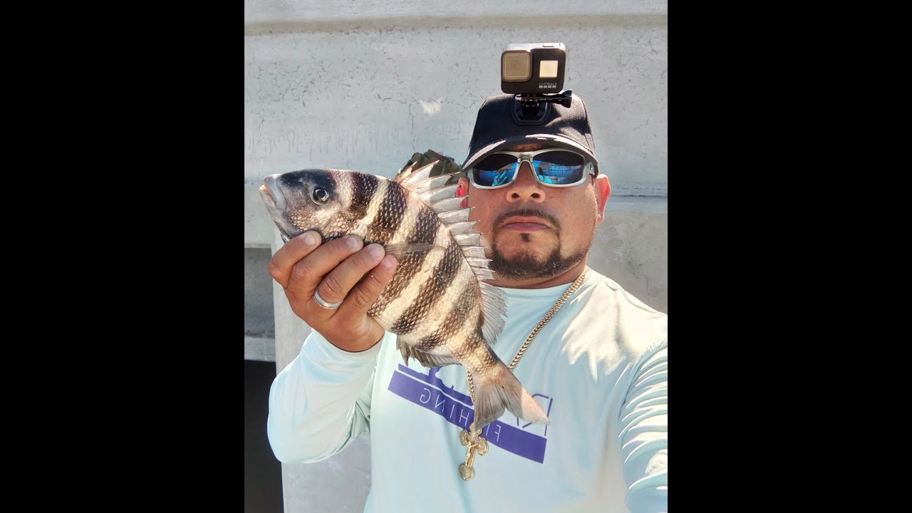Fishing with Los:    Sheepshead fishing at the Courtney Campbell Causeway.