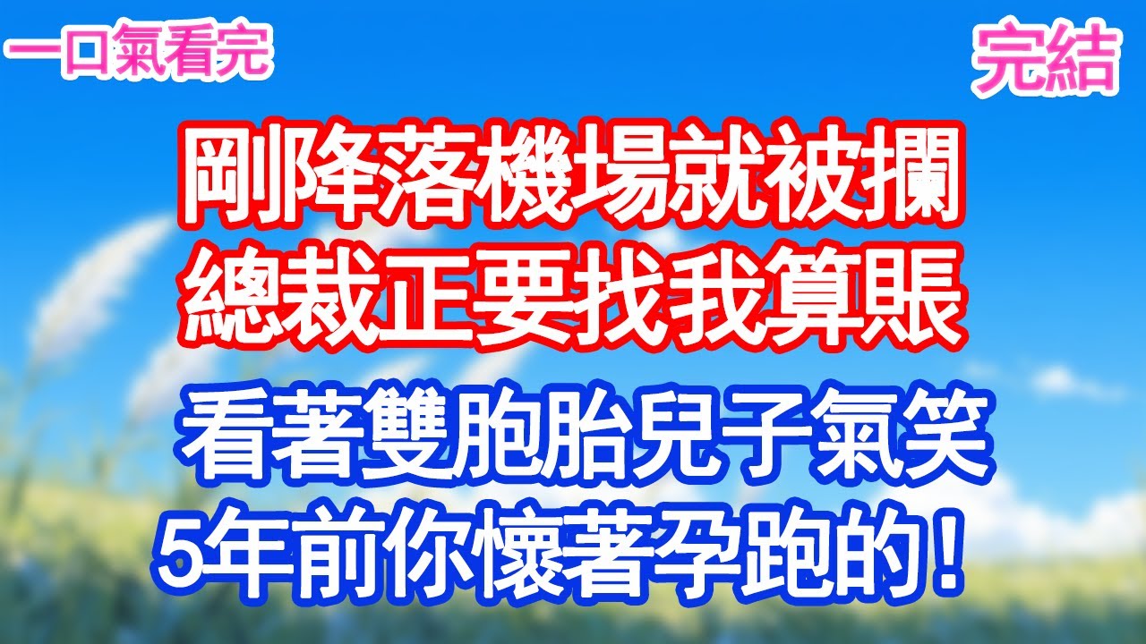 剛降落機場就被攔，總裁正要找我算賬，看著雙胞胎兒子氣笑：5年前你懷著孕跑的！#愛情#甜寵文#爽文#故事分享