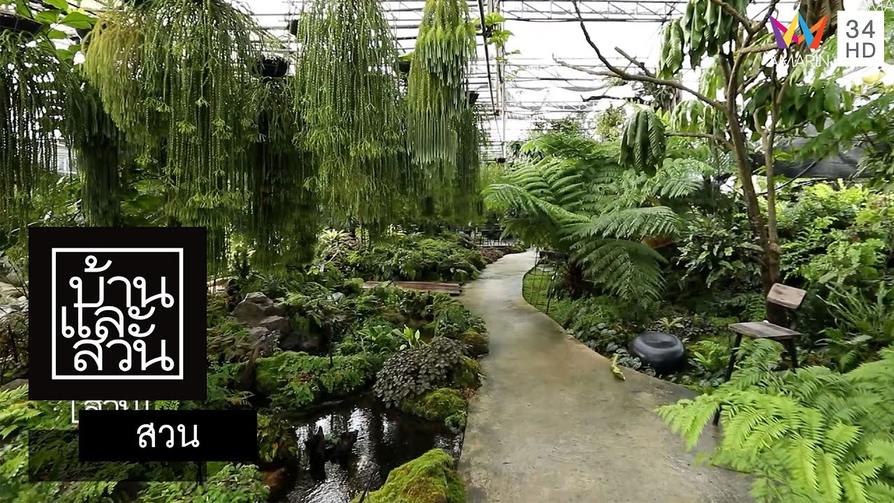 บ้านและสวน | สวน | Botanist Activity Space & Cafe