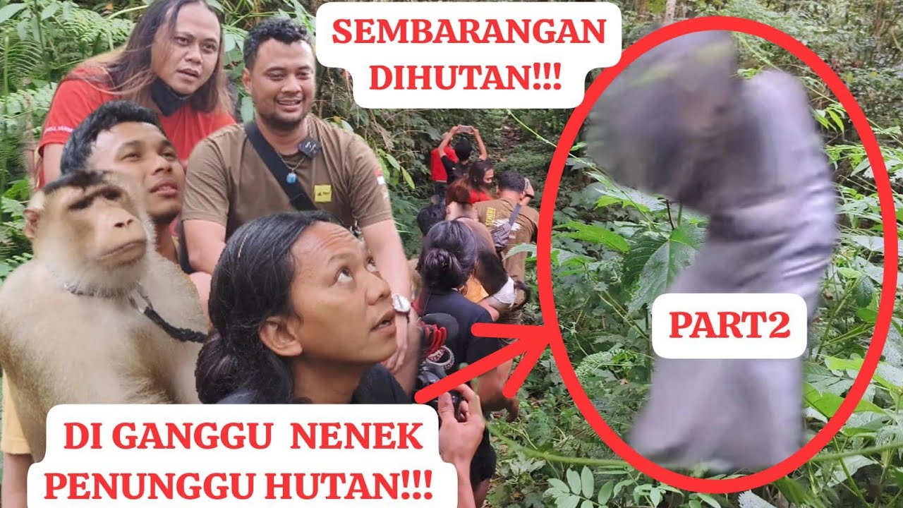 Beruk Bastian diganggu Jin penunggu hutan!!!bersama Panji petualang, Dede inoen, dan Ki Prana Lewu!