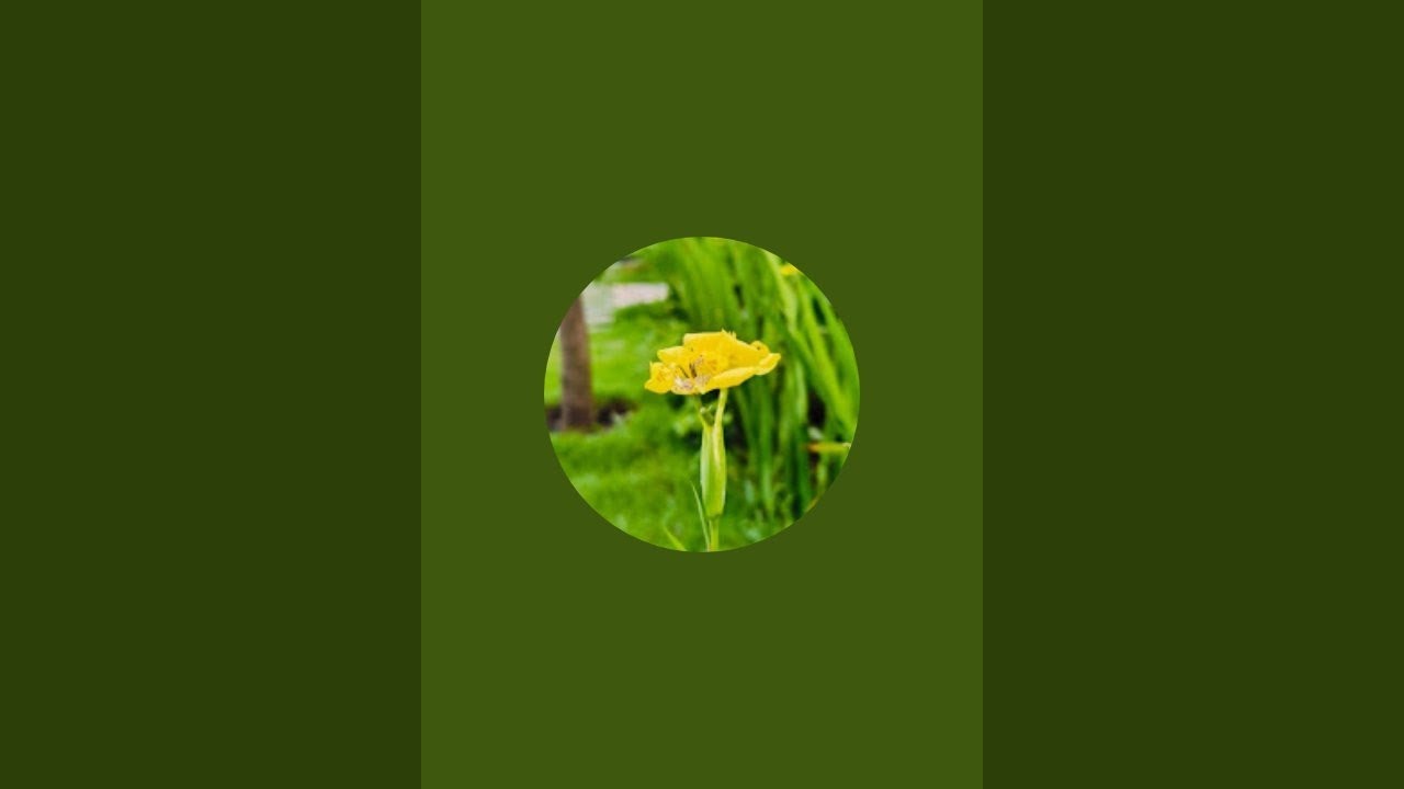 ಬರ್ರಿ ಬರ್ರಿ ಎಲ್ರೂ ಬೆಂಬ್ಲ ಕೊಡ್ರಿ 🙏❤❤❤