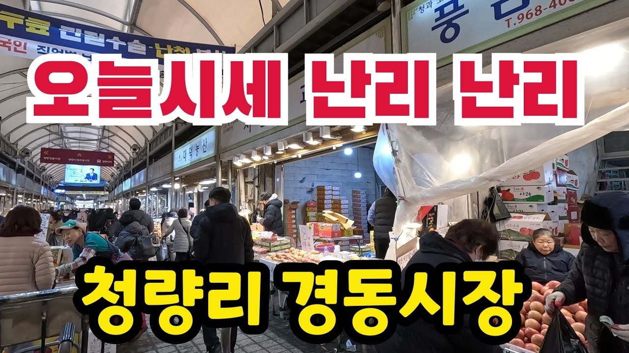 청량리경동시장 오늘시세