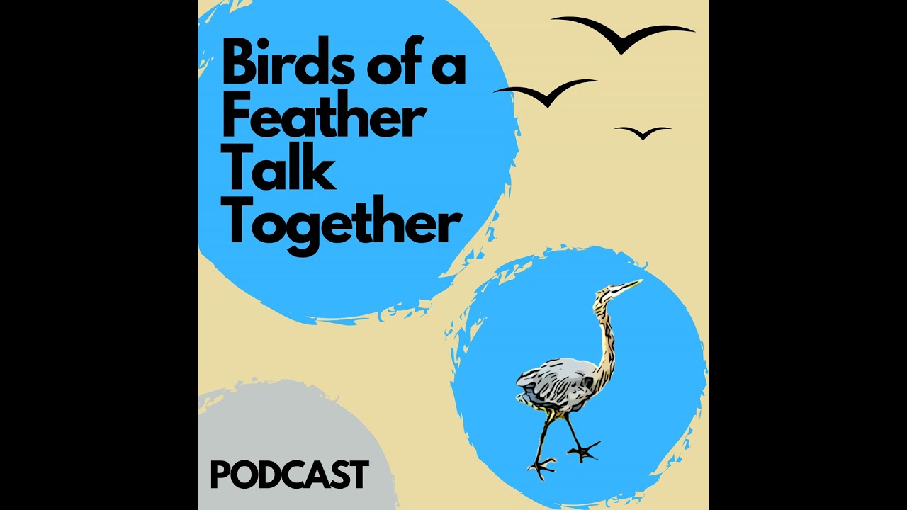 2: Birds of Paradise