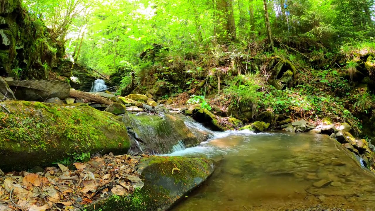 Relaxing Vibe:10minute relaxing video