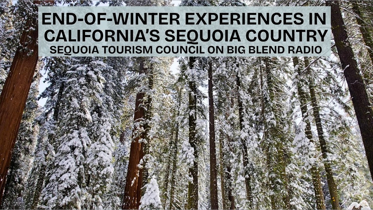 End-of-Winter Adventures in California’s Sequoia Country