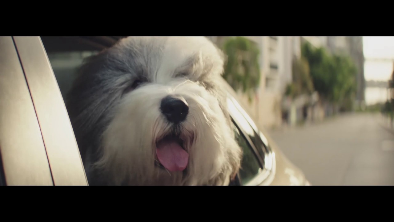 Dulux TVC 60 